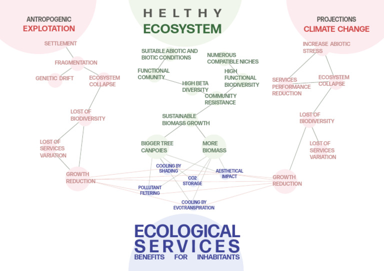Climate Change and Biodiversity Loss Impact | PDF | Ecosystem ...