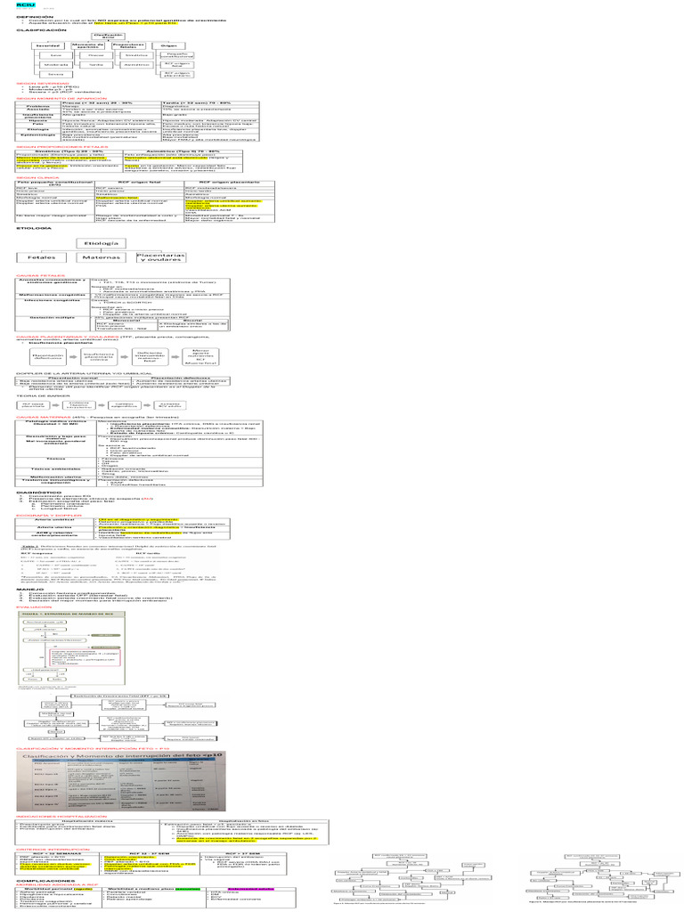 RCIU | PDF | Feto | El embarazo