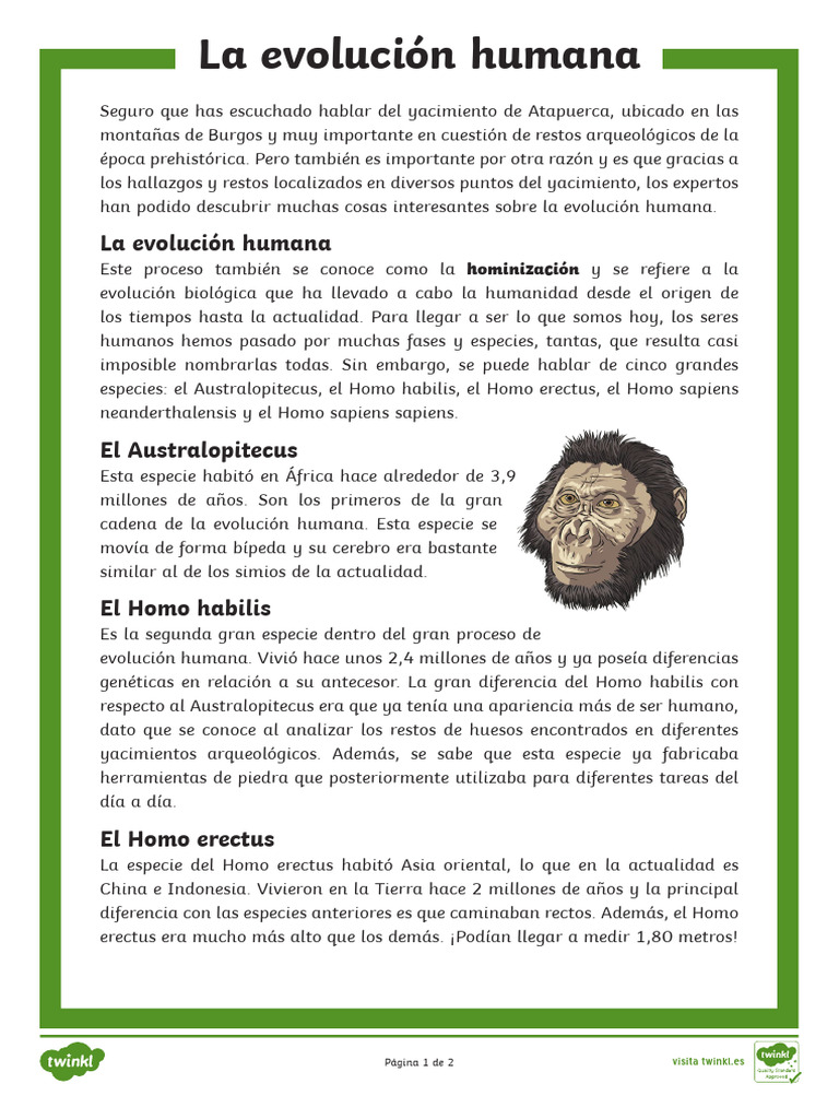 Es Ss 93 Hoja Informativa La Evolucin Humana - Ver - 1 | PDF | Homo ...