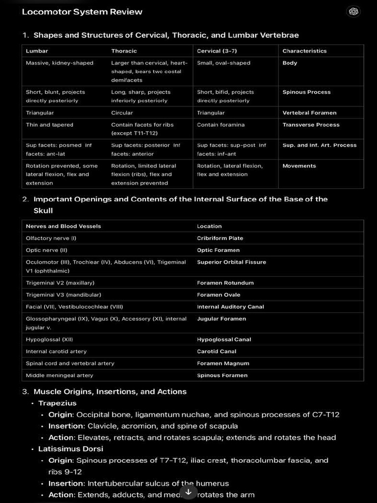 Anatomy Review | PDF