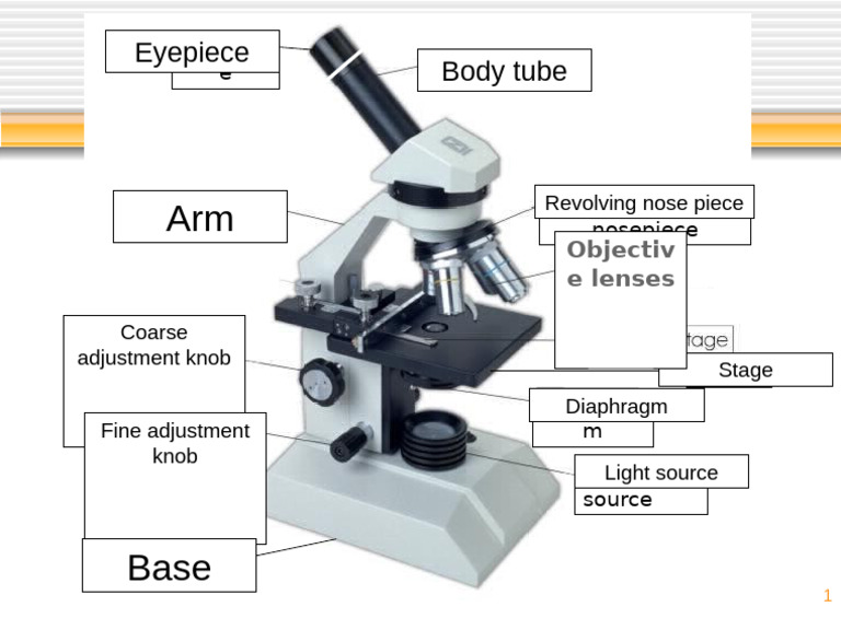 Eyepiece Body Tube | PDF