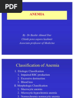 Anemia and Its Classification by DR Bashir Ahmed Dar A Sopore Kashmir 1228039135310976 9