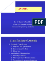 Classification and Causes of Anemia Explained