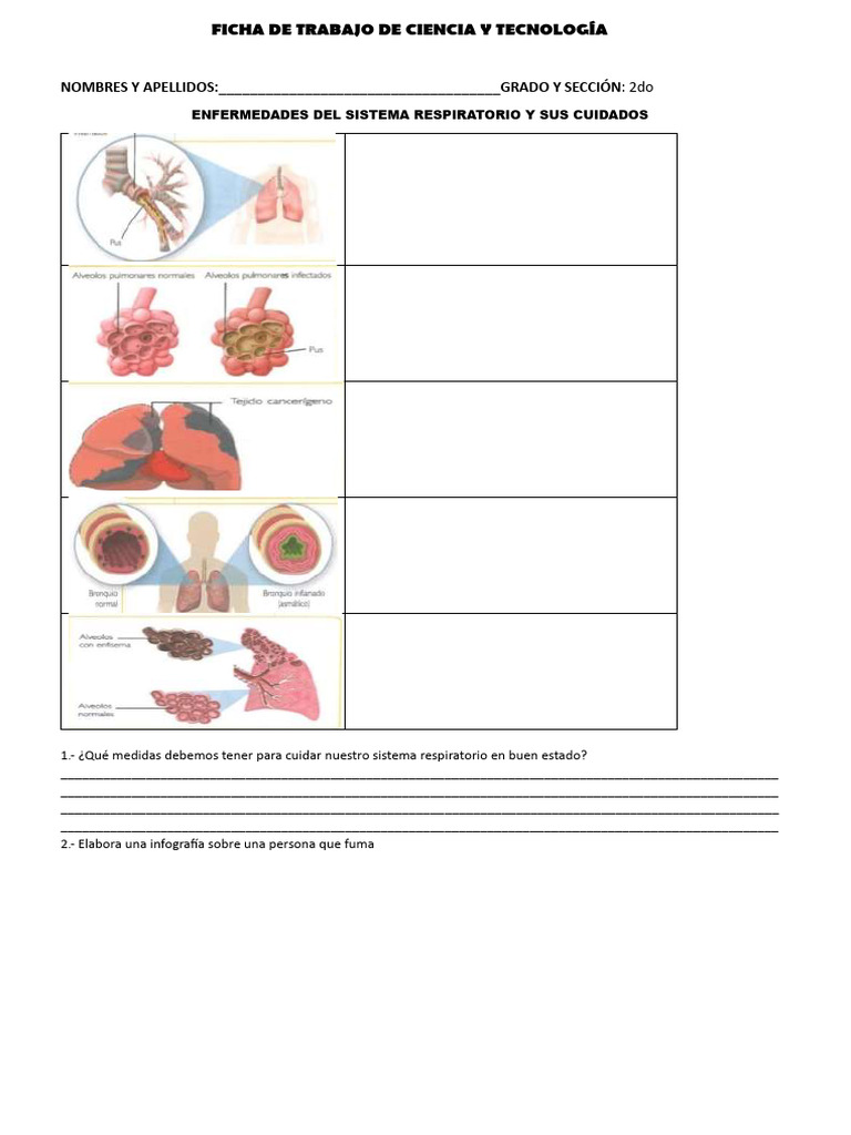 2º-1. Ficha de Trabajo de Ciencia y Tecnología | PDF