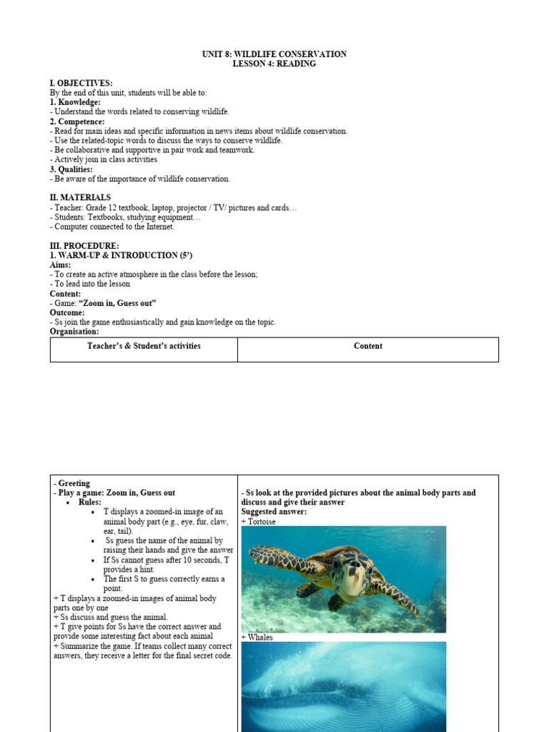 unit8-lesson-plan-pdf-sea-turtle-coral