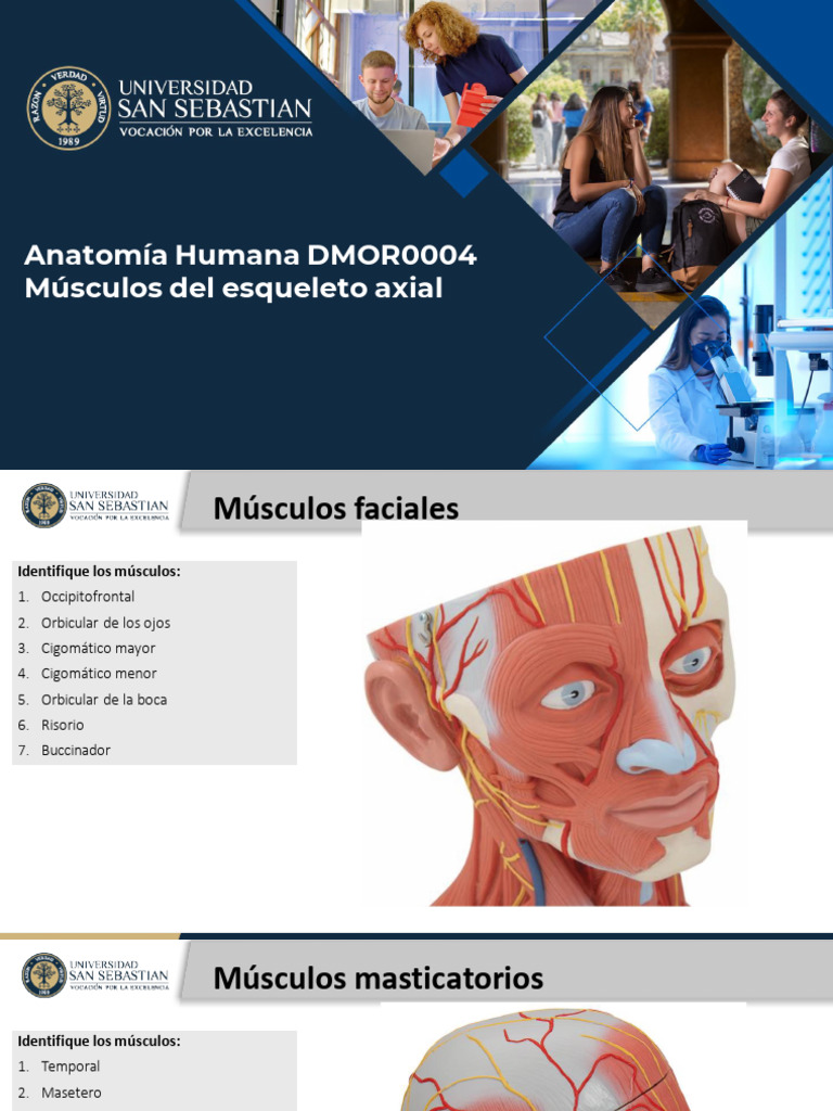 Copia de Copia de Laboratorio Miología Axial DMOR 0004 | PDF