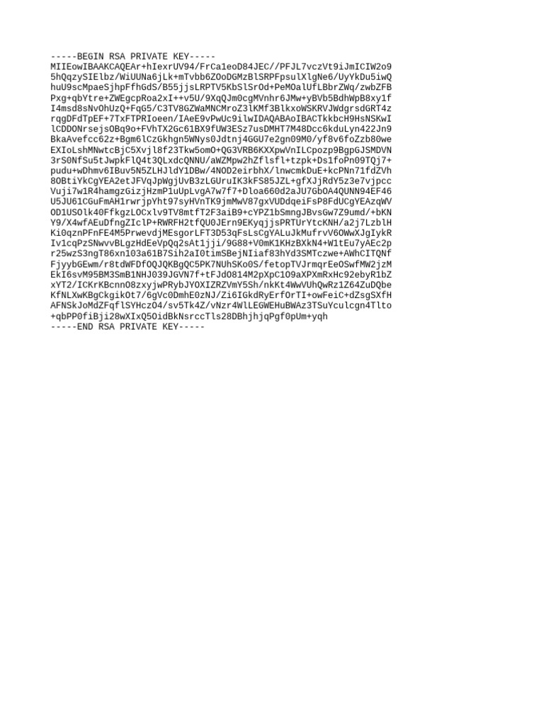 RSA Private Key Example | PDF