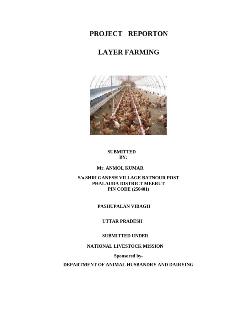 Layer Farming Project Report Overview | PDF | Poultry Farming | Poultry