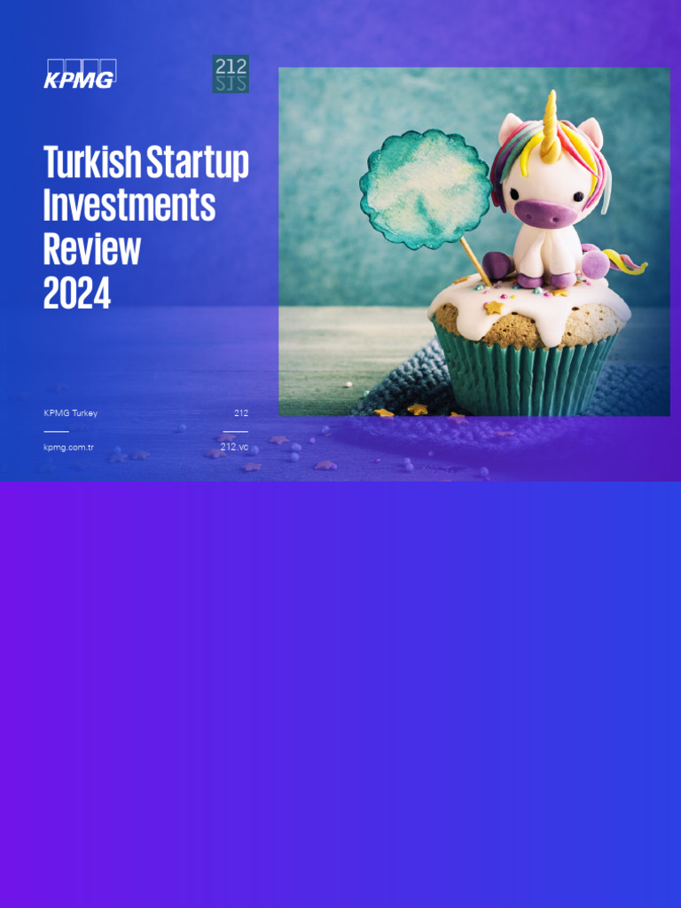 Turkish Startup Investments Review Q4 2024 | PDF | Startup Company ...