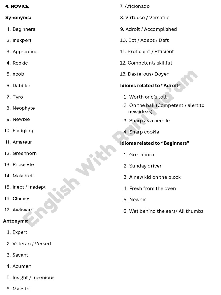 Beginner and Expert Synonyms Guide | PDF