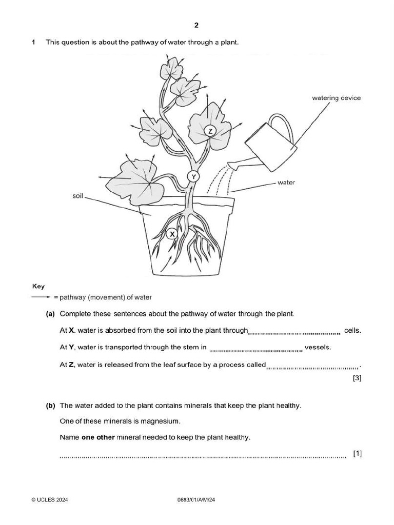 Science p1 April 24 | PDF