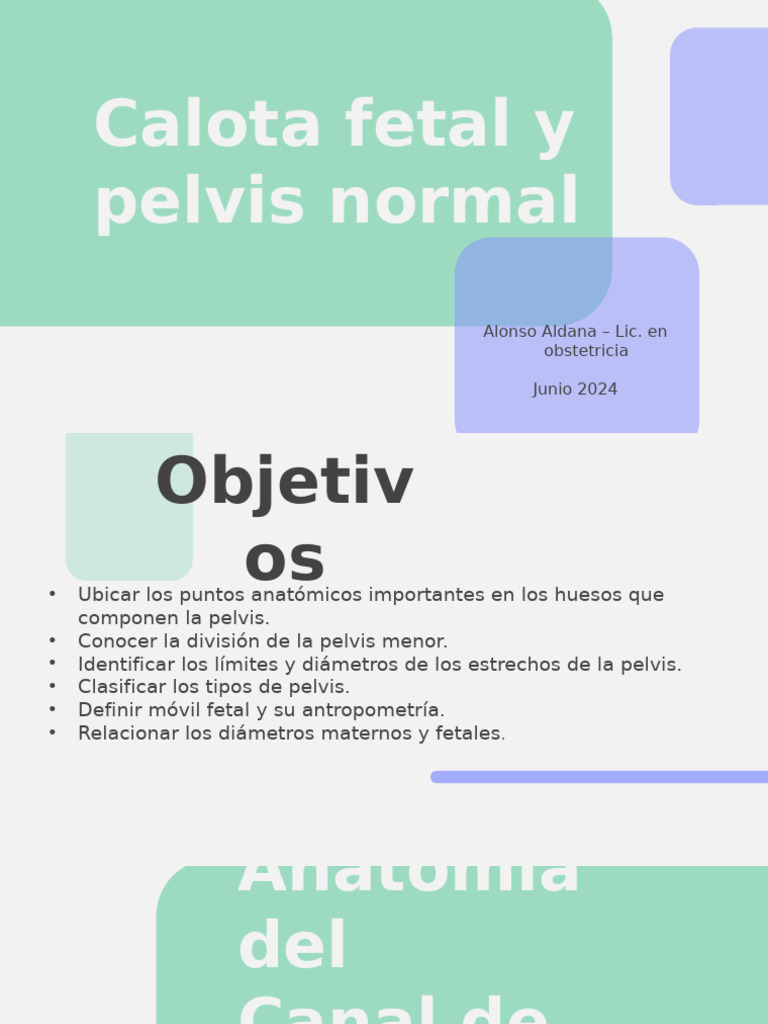 Anatomía de la Pelvis y Calota Fetal | PDF | Pelvis | Sistema