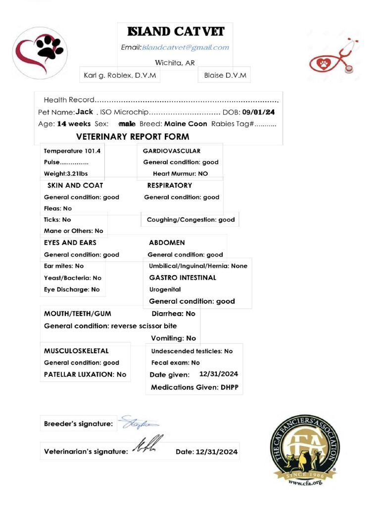 Vet Report For Fiona PDF | PDF