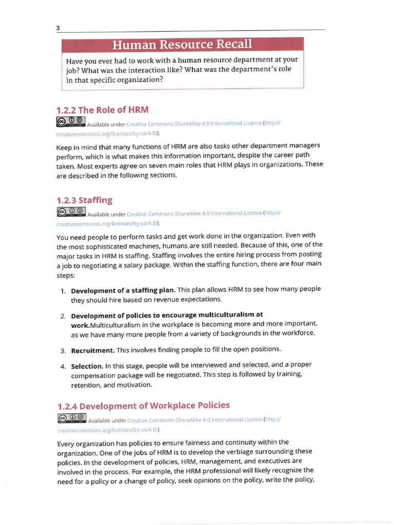 The Role of HRM - 081004 | PDF