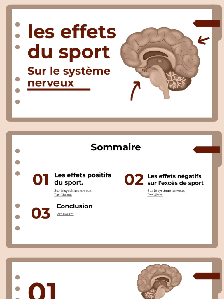 les effets du sport Sur le système nerveux | PDF