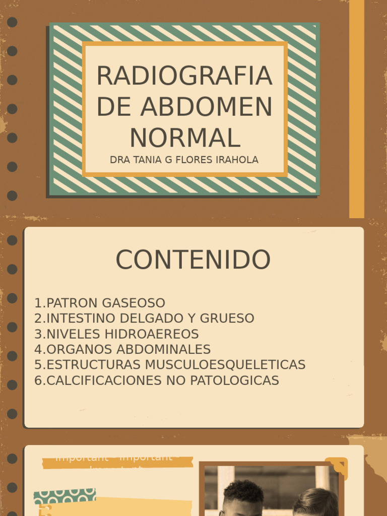 Imagenologia Abdomen Normal y Patologico | PDF | Tracto ...