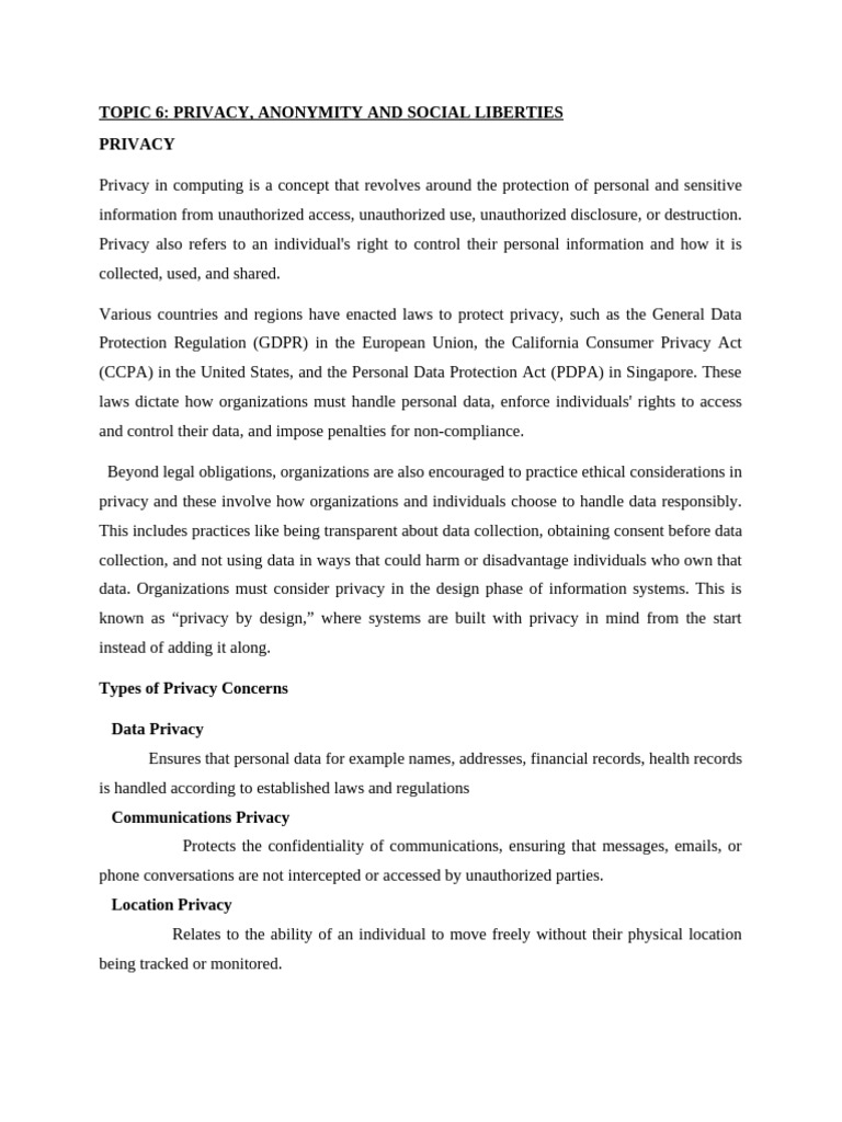 Social and Professional Issues in Computing Notes Chapter 6 To 10 | PDF ...