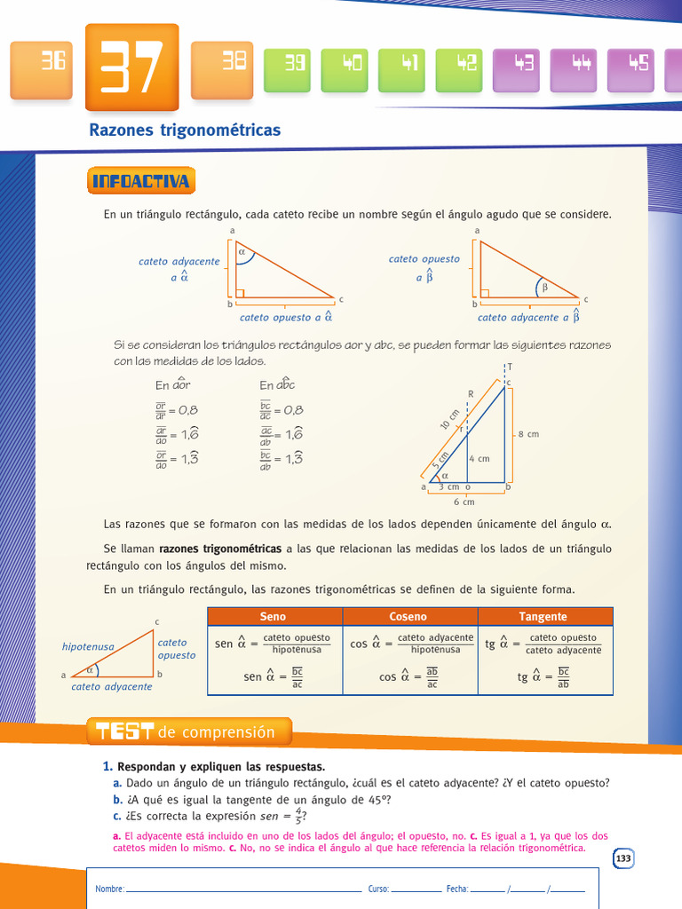 Razones Trigonométricas en Triángulos Rectángulos | PDF | Funciones ...