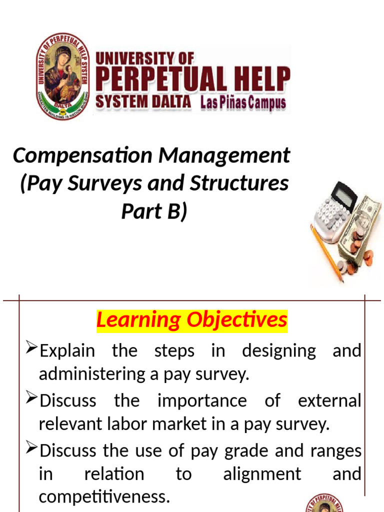 Pay Survey Design and Compensation Structures | PDF | Salary | Labour ...
