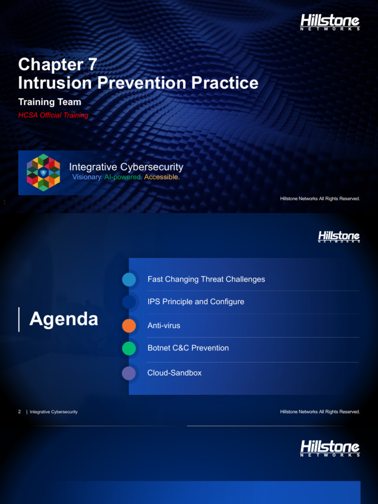 Visual Reference: 7 Intrusion Prevention Av Sandbox Pdf Security