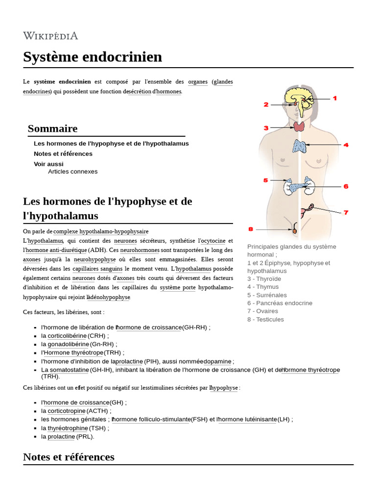 Système Endocrinien | PDF | Hypophyse | Hypothalamus