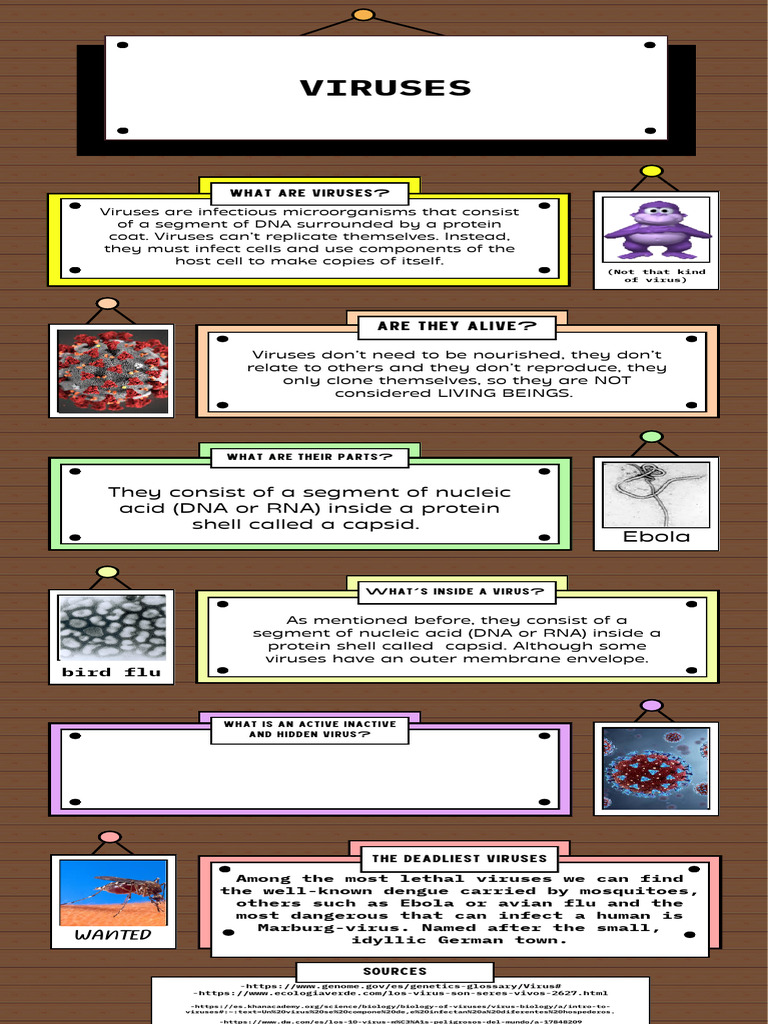 Viruses infographic | PDF | Virus | Microbiology
