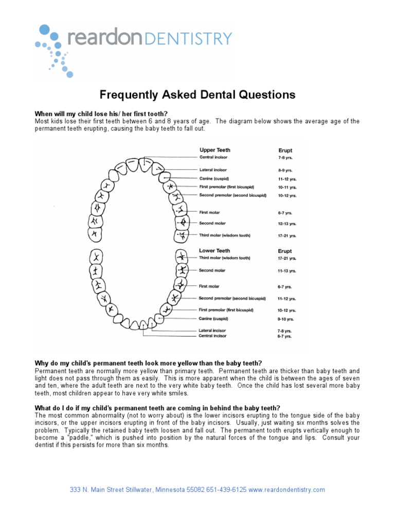 Common Dental Questions for Kids | PDF