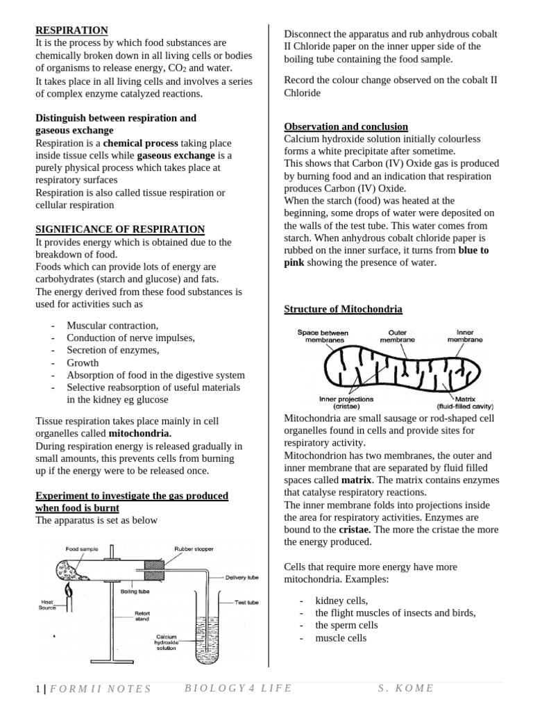 Lactic Acid and Energy Recovery in Respiration | PDF | Cellular ...