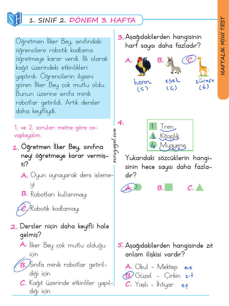 Sınıf 21. Hafta Mini Test Cevap | PDF