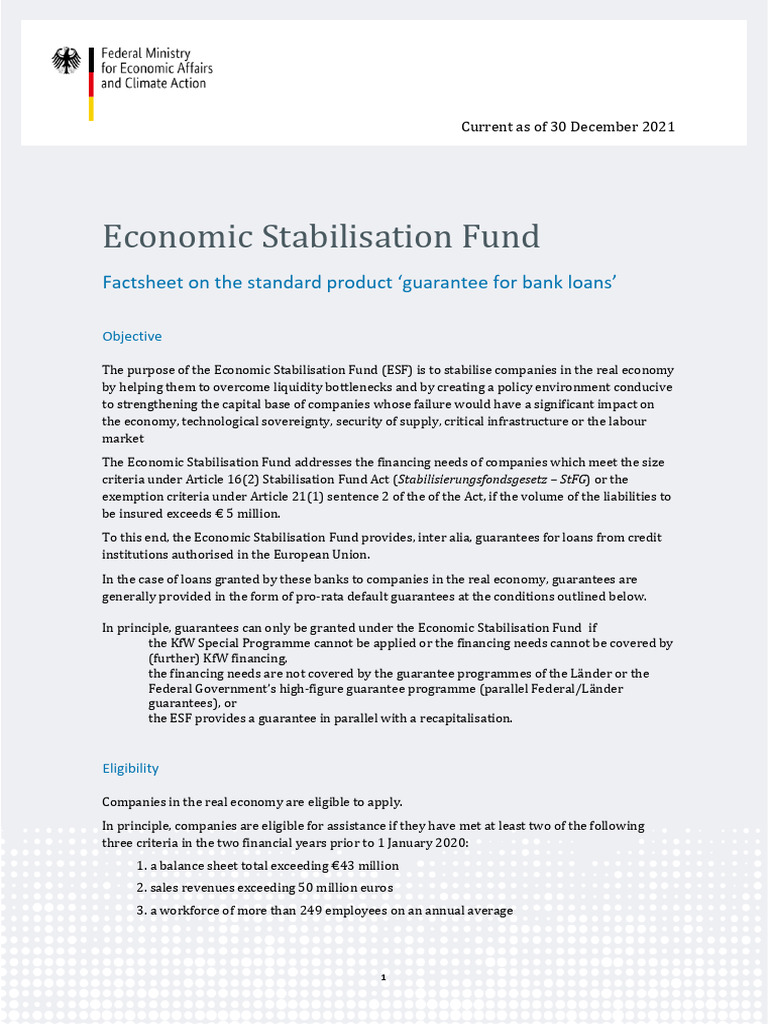 Esf Factsheet Guarantee For Bank Loans | PDF | Loans | Debt