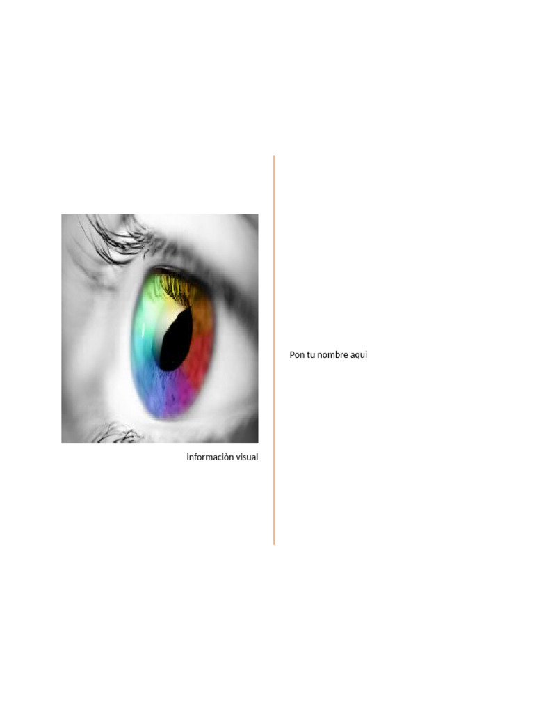 Definición de Información Visual | PDF | Diseño | Diseño gráfico