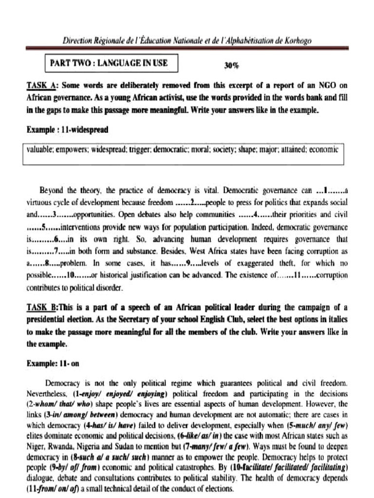 Language Use in African Governance Report | PDF | Democracy | Political ...