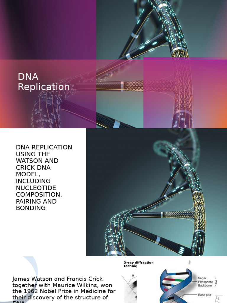 Chalk and Talk - DNA Replication | PDF | Dna | Cell (Biology)