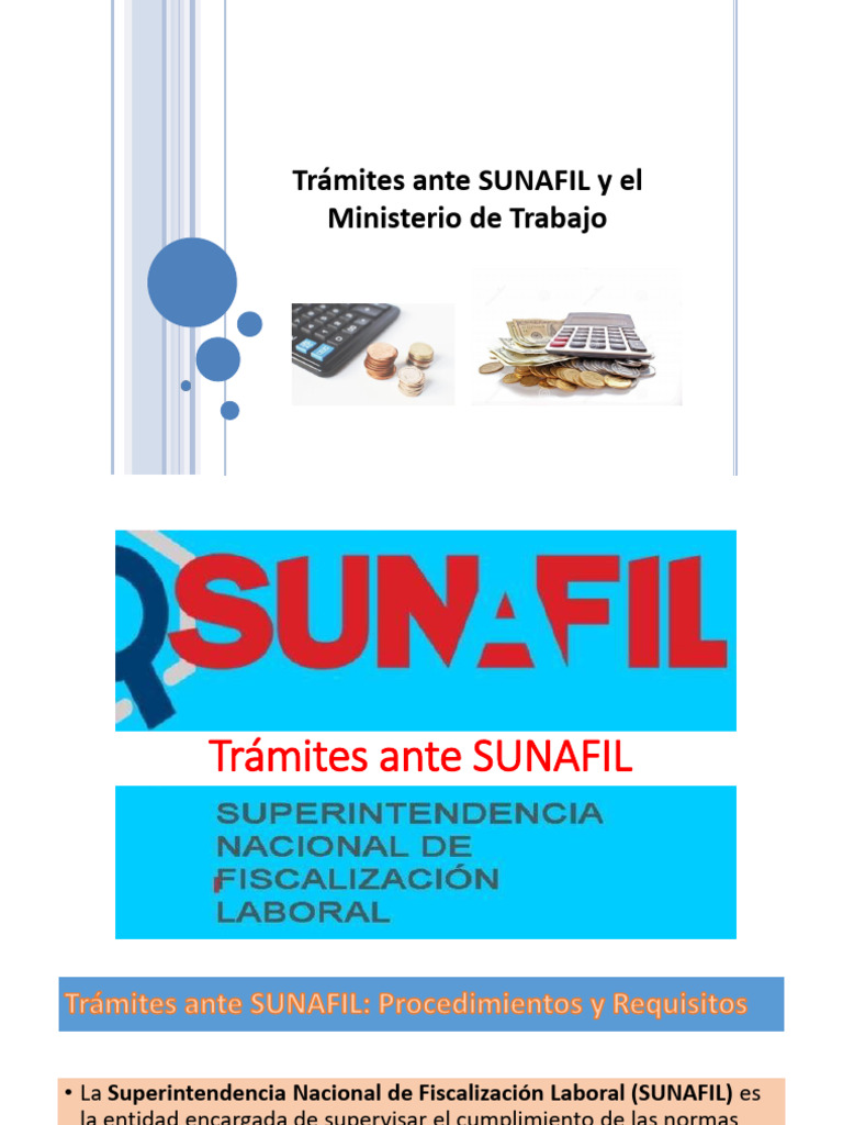 Trámites SUNAFIL y Ministerio de Trabajo | PDF | Derecho laboral | Pensión