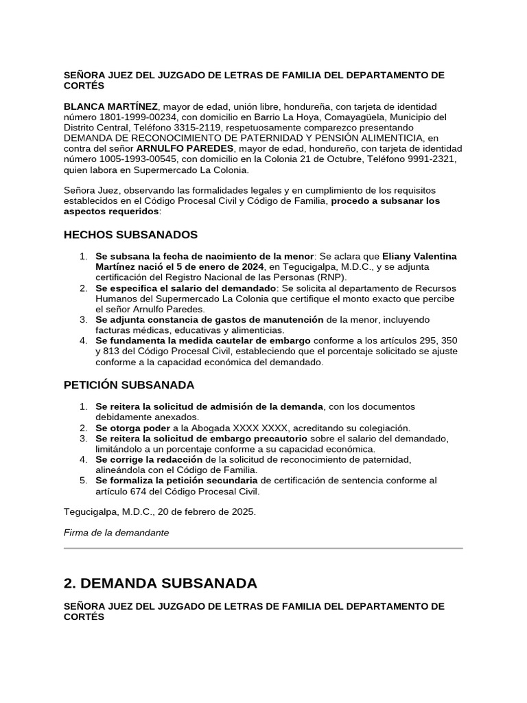Subsanar | PDF | Pensión alimenticia | Demanda judicial