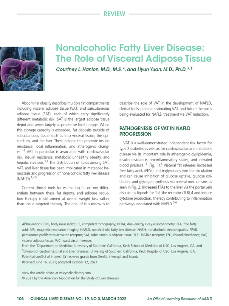 VAT's Impact on Nonalcoholic Fatty Liver Disease | PDF | Adipose Tissue ...