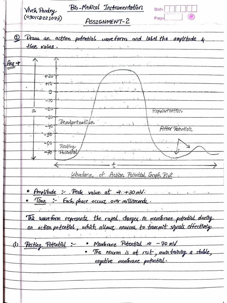 BMI Assignment 2 | PDF