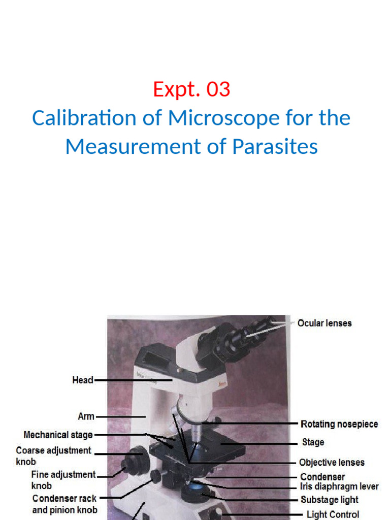 Microscope Calibration for Parasite Measurement | PDF | Optics