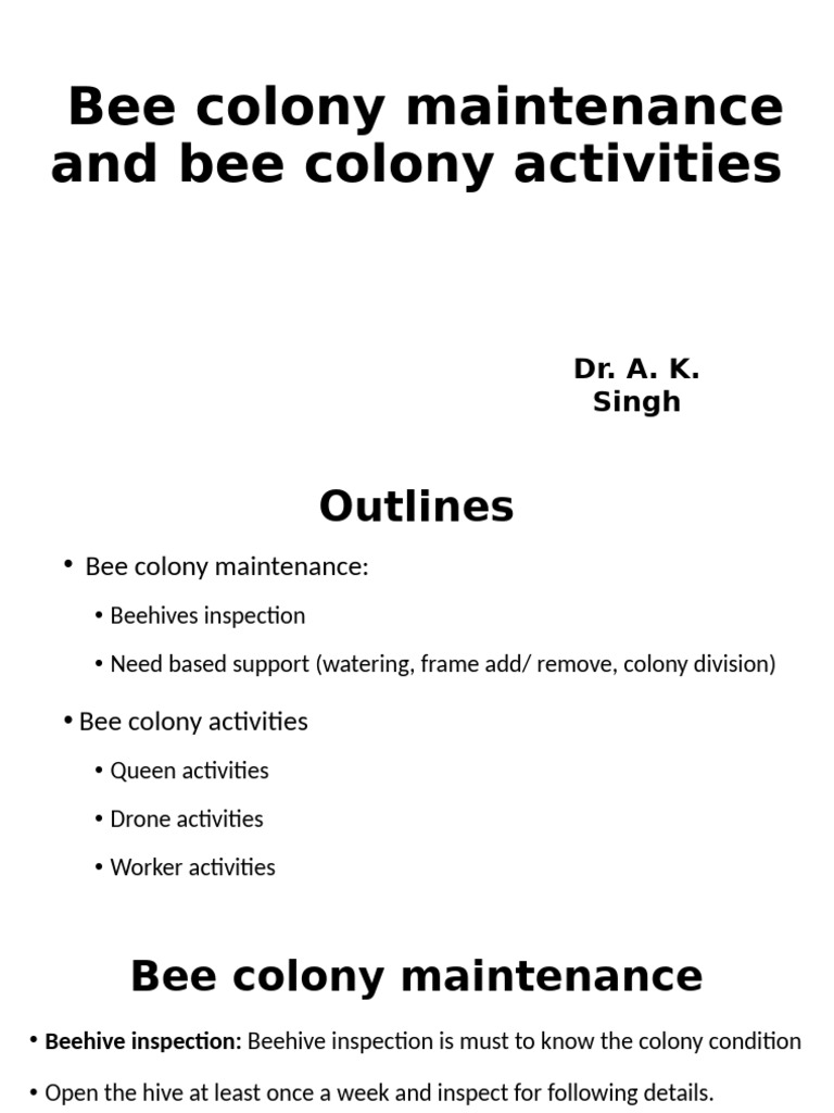 Bee Colony Maintenance Overview | PDF | Beehive | Honey Bee