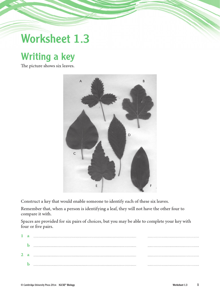 IGCSE Biology Worksheets Overview | PDF | Cell (Biology) | Cellular ...