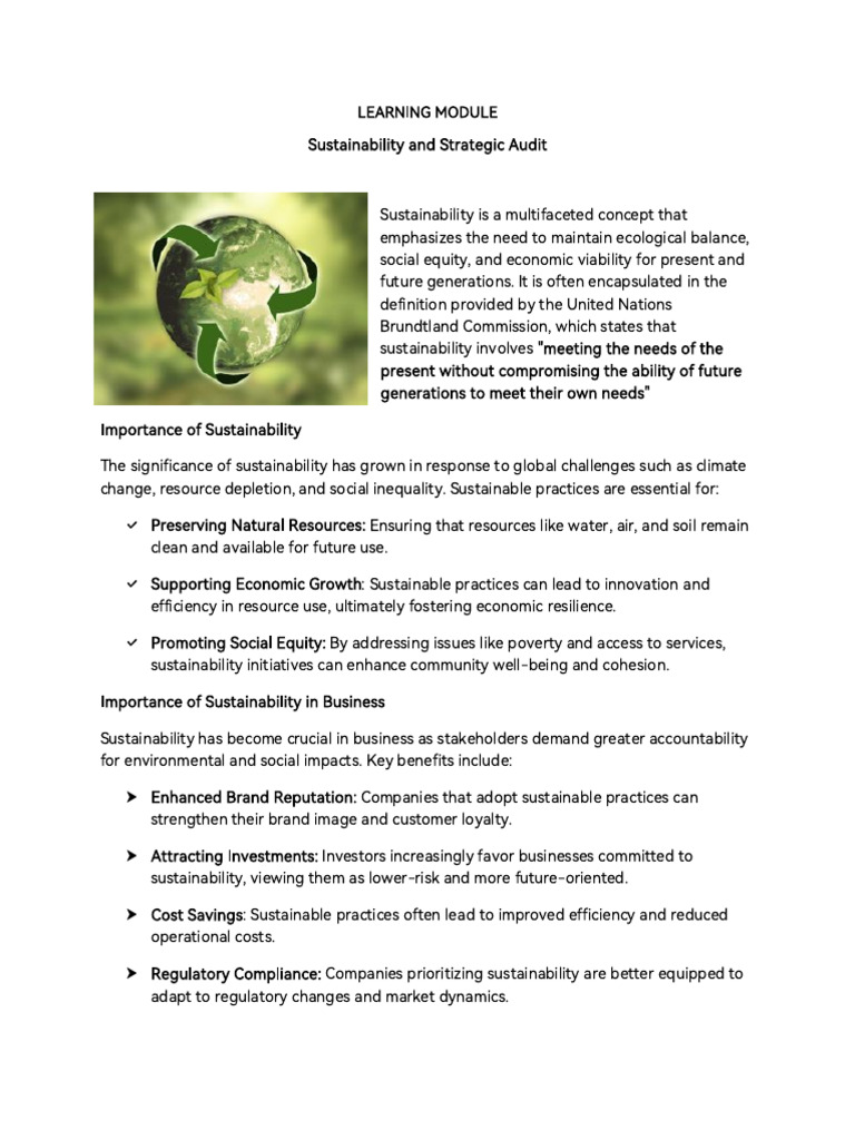Sustainability in Business Strategy | PDF | Sustainability ...