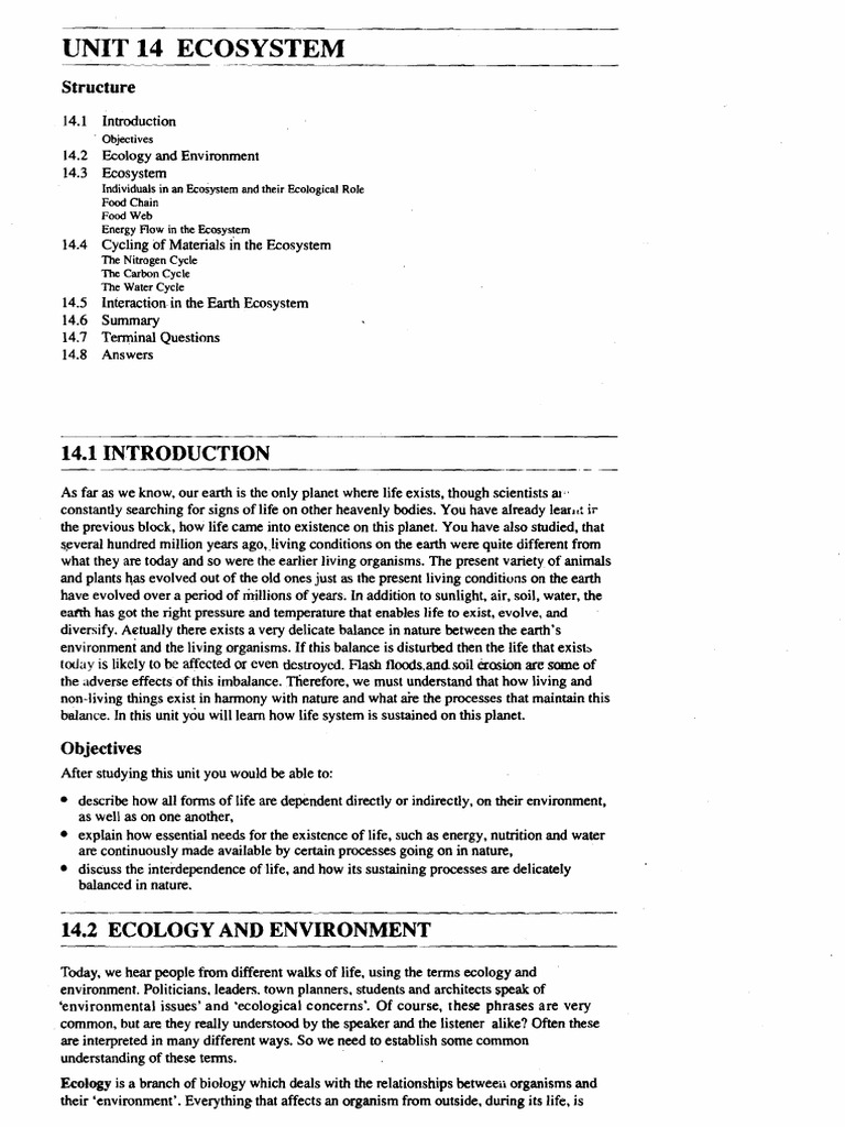 Understanding Ecosystems and Ecology | PDF | Ecosystem | Food Web