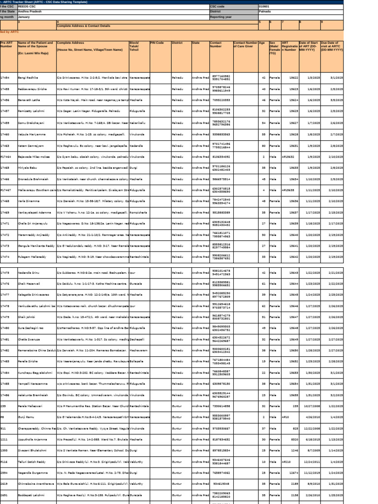 CSC ART Tracker Format DEC 24 Narasaraopet (Repaired) | PDF