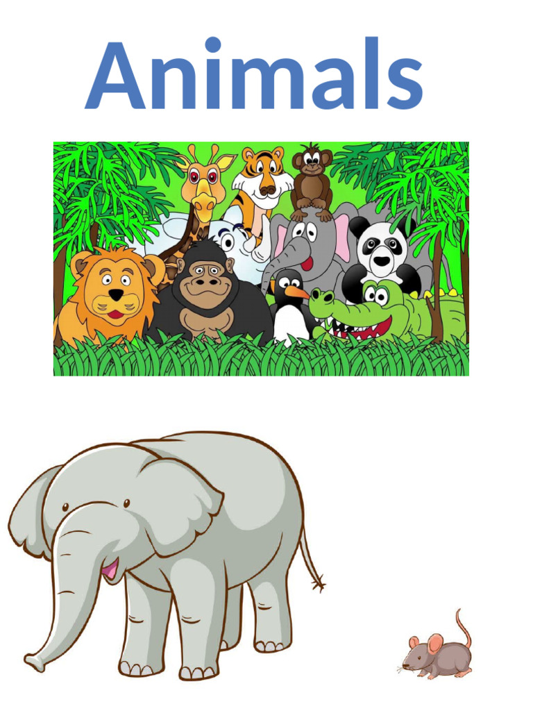 Animlas | PDF