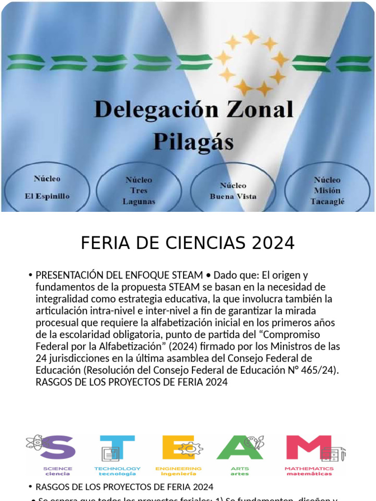 Feria de Ciencias 2024: Proyectos STEAM | PDF | Enseñando | Aprendizaje