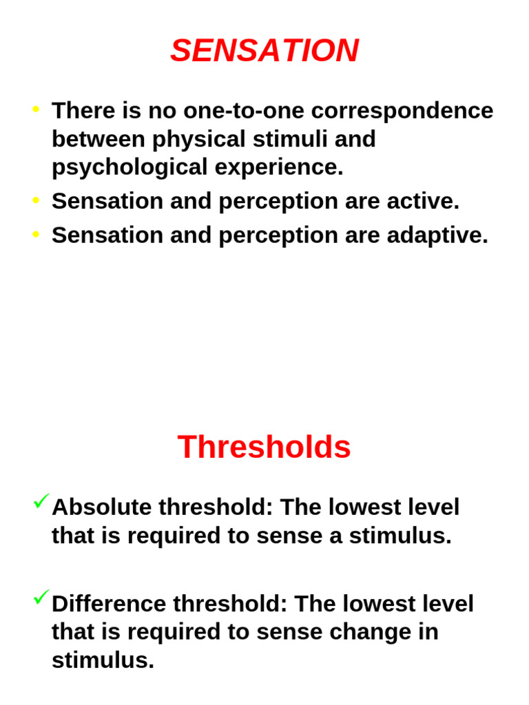 PERCEPTION (2) 2024 For Students | PDF | Perception | Senses
