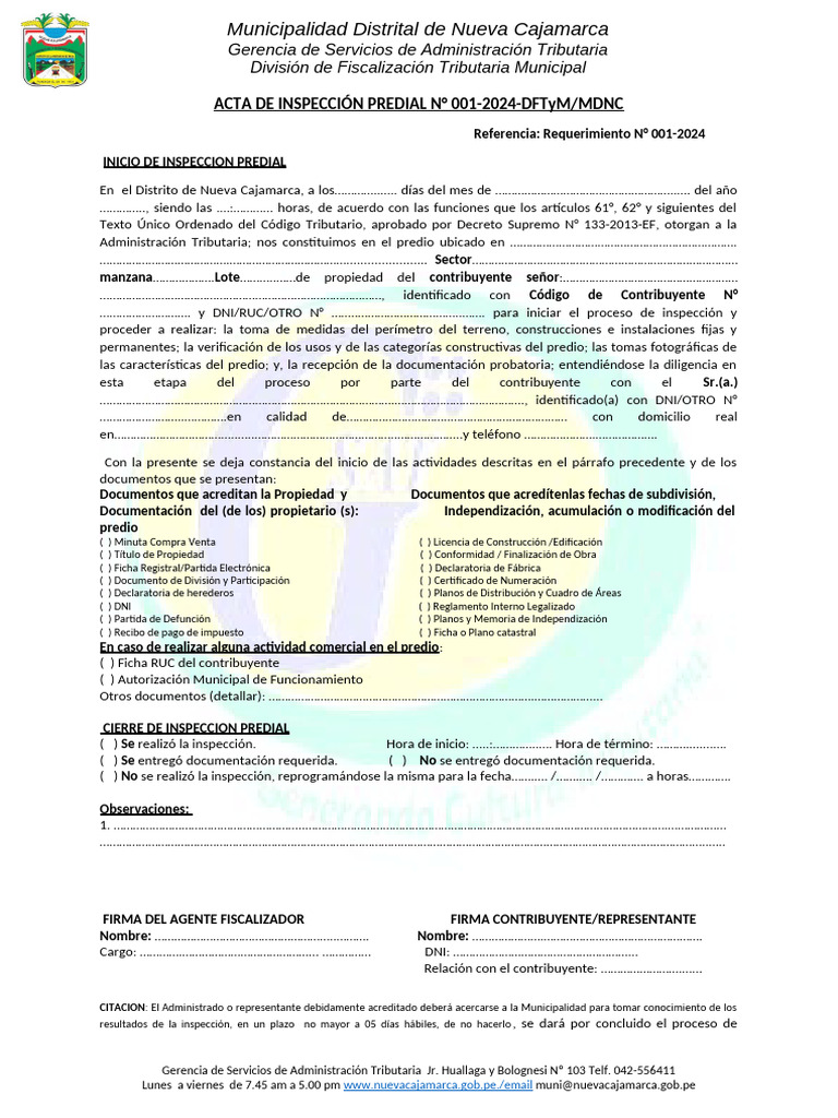 00 Modelo Acta de Inicio - Valida | PDF
