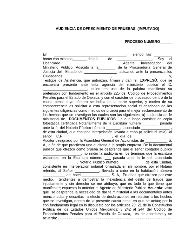 Audiencia de Ofrecimiento de Pruebas | PDF | Justicia | Crimen y violencia