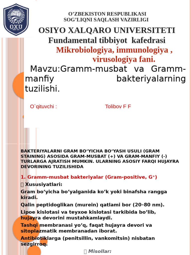 Katta dumbali porno chizilgan qizlar