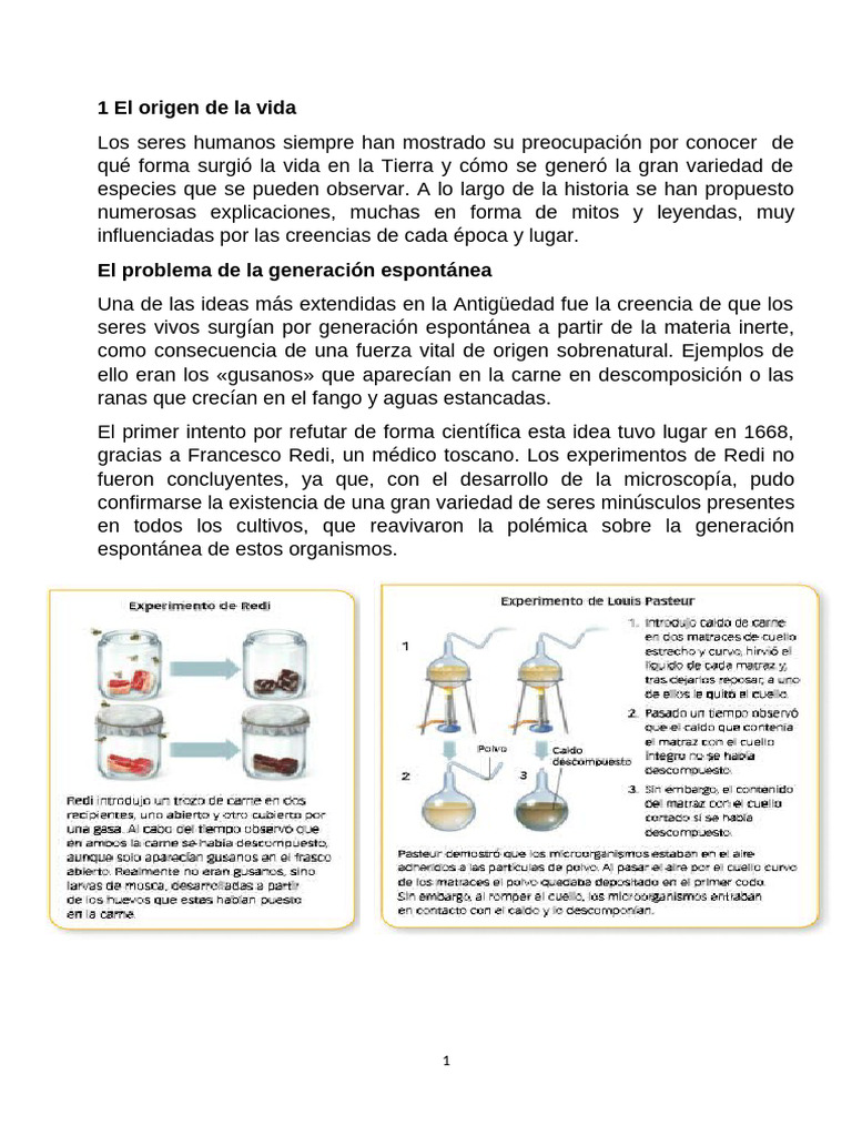 Origen de la vida y biodiversidad en la Tierra | PDF | Evolución ...